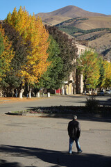 person walking on the autumn street
