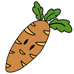 hand drawn vector illustration of a carrot