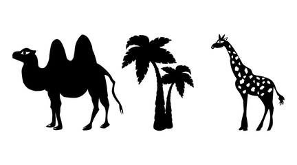 Camel,  palm trees and giraffe set on white background. Collection for business. Vector illustration