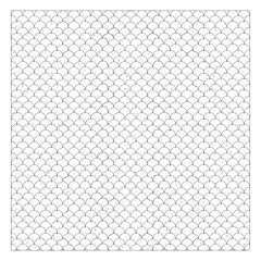 Fish skin seamless patterns. Salmon scale abstract texture illustration. © Mehedimiad