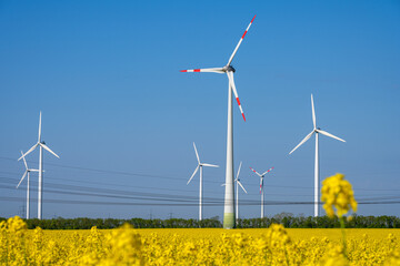 Wind turbines and power lines in a field of flowering rapeseed seen in Germany