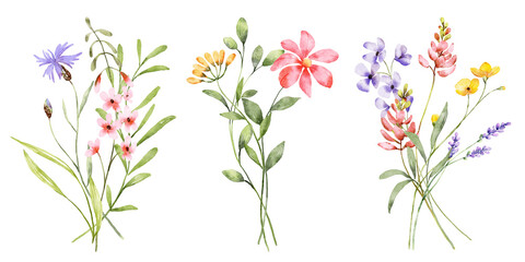 Border banner with watercolor wild flowers. Floral decoration. Hand drawing.	