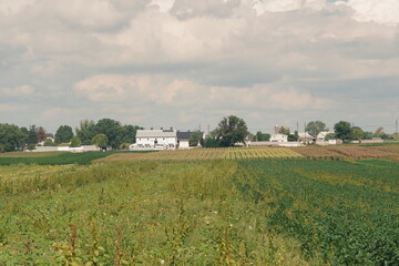 Farmscape of White Buidling, Fields, Trees, and Sky in Summer, Lancaster, Pennsylvania