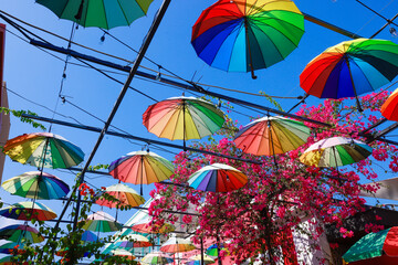 Colorful umbrella decoration-A street decorated with colorful umbrellas in Puerto Plata, Dominican Republic - obrazy, fototapety, plakaty