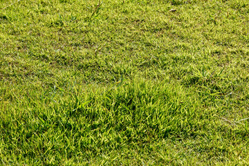 公園施設物の抽象風景