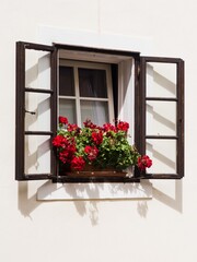A window of a small family house, with open exterior window glass frames, decorated with red geraniums
