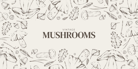 Vector illustration. Sketches of forest plants. Graphic horizontal banner made of porcini, branches, leaves. Mushrooms. For menu design, labels, product packaging