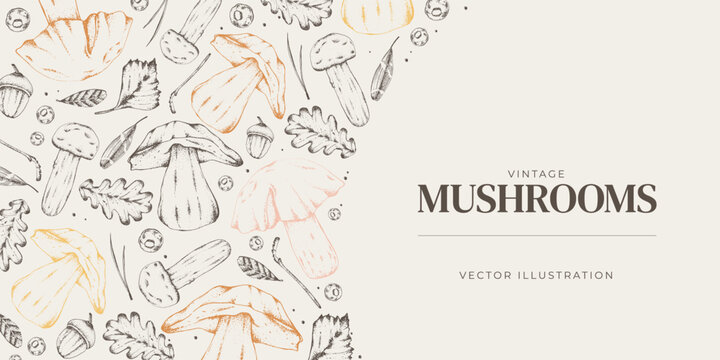 Sketch of forest plants. Mushrooms. Graphic horizontal banner made of porcini, branches, leaves. Vector illustration for menu design, labels, product packaging