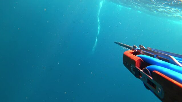 POV man underwater seeing swirl and coming up to surface of ocean in panic. Spearfishing hunter swimming away from maelstrom in the sea. Dangers of fisherman with gun hunting fish. Leisure in tropics.