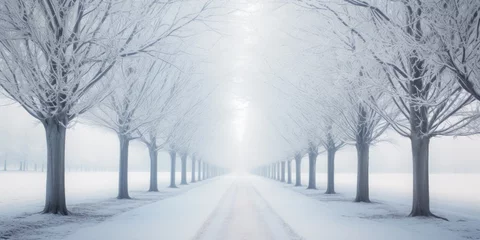 Foto op Canvas winter snowing rural. Road, driveway, path, boulevard, byway, route, track, trail, street, row of trees. © ana