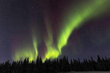 Polarlicht - Nordlicht - Aurora Borealis 