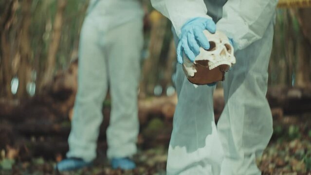 Woman forensic police investigator removing a skull after picture being taken and store it on the evidences box on a crime scene in the woods