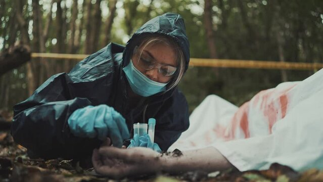 Coroner ispecting a dead body and taking dna samples from a Crime Scene in the woods. Cadaver covered in bloody white sheet
