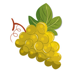 Raisin, fruit automne, saison fruits et légumes, illustration vectorielle, cuisine