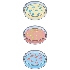 Set of 3 petri dish colorful icons with bacteria growth, simple vector illustration design. Medical carttoon symbol to use in websites, lectures, presentations, etc
