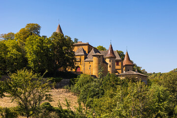 castle in the forest