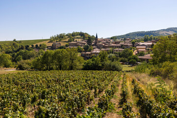 Fototapeta na wymiar Village de Ville-sur-Jarnioux depuis les vignobles du Beaujolais