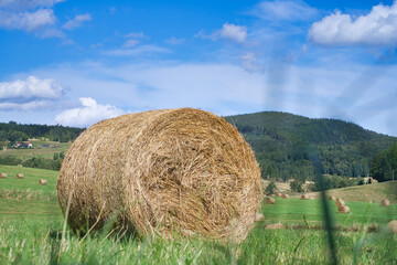 bale of hay close up 