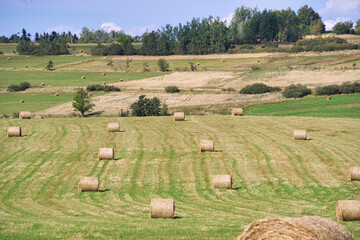 bales of hay on a farm field
