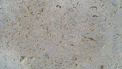 Gray stone background texture. Monochrome gray stone shell rock limestone pattern. Light limestone slab with shell marks. Natural stone background