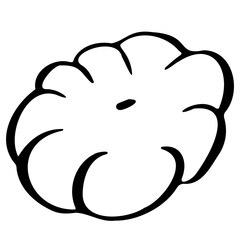 Squash. Monochrome Fresh organic vegetable for farm market, product pakage and shop design. Vector outline doodle illustration isolated on white background.