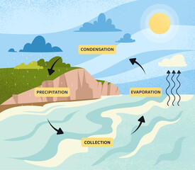 Water cycle concept. Infographics and educational materials. Biology and geographi, climate changes. Condensation, precipitation and evaporation. Cartoon flat vector illustration