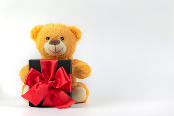 teddy bear with a gift on a white background with space for text