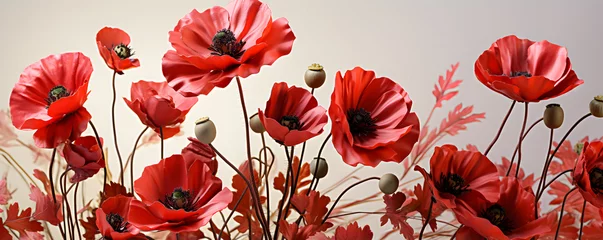 Foto op Aluminium red poppy flowers in the field on a white background, in the style of silver and green, © alex