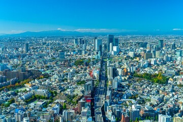 富士山と東京　六本木から望む渋谷方面　 - obrazy, fototapety, plakaty