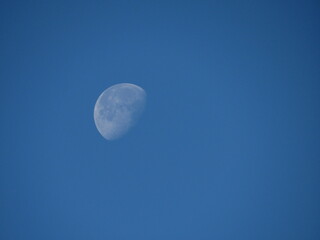 Faded moon at noon.