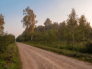 Small narrow country road by a forest at sunrise. Rural Latvia area. Nobody. Calm and relaxed mood. Nature scene background.
