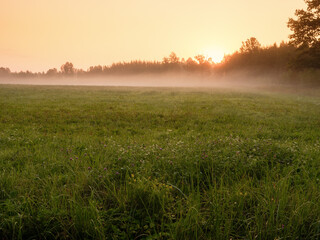 Warm fog over a cut grass filed before sunrise. Rural farmland. Stunning nature scene. Calm and peaceful mood. Relaxing view on a meadow in a mist.