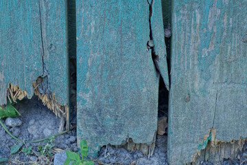 Green wooden texture from a fence and a broken board in the street