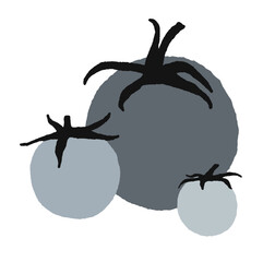 Hand-drawn flat tomato illustration isolated on a white background. Kitchen, menu, market vector element - 651342379