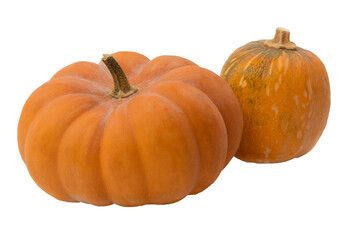 Pumpkin Season. Autumn pumpkin season. Modern design elements. Seasonal celebration. transparent,png