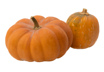 Pumpkin Season. Autumn pumpkin season. Modern design elements. Seasonal celebration. transparent,png