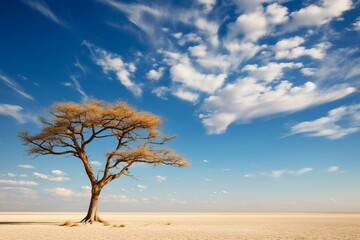 Fototapeta na wymiar A lone camelthorn acacia tree beneath a clear Namibian sky in Etosha National Park, Africa. Generative AI