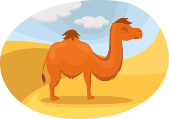 Camel in the desert, illustration, vector on a white background.