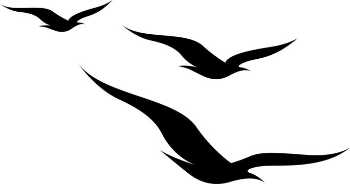 Birds flying tattoo, tattoo illustration, vector on a white background.