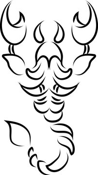 Tribal scorpion tattoo , illustration, vector on a white background.