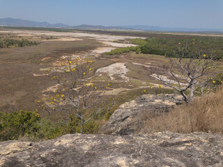 Australian bush North Queensland Townsville 