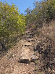 Australian Bush track outdoors North Queensland 