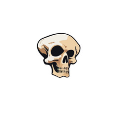 Pirate skull flat vector design