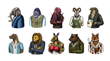 Grizzly Bear, Octopus, t-rex dinosaur, Elephant, Indian cobra snake, Fox with a smoking pipe, lion, Monkey scientist Goat with beer. Gentleman Fashion animal character in a suit. Hand drawn sketch.