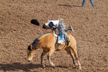 Rodeo Bucking Bronco