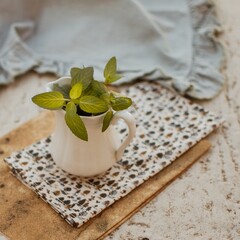Flores verdes en un cafetera blanca con tierra, apoyada sobre un mantel de hojas vintage