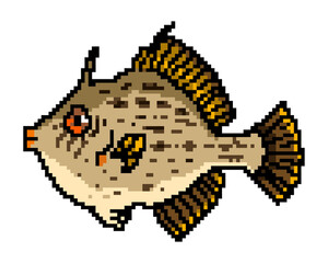 カワハギ（ドット絵）