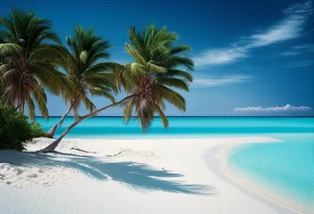 Tuinposter Ein unberührter Strand mit klarem Wasser und Palmen © Joshua