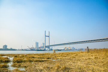 Shanghai Pudong New Area-Minpu Bridge