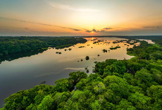 Scenic aerial sunset view of rainforest water jungle in Amazonas Brazil